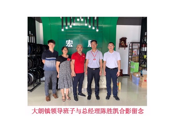 东莞大朗镇领导前来妖精视频app破解版下载缠绕膜厂家指导工作